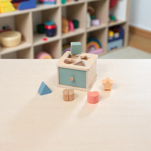 Montessori Fine Motor Skills Wooden Toy Series