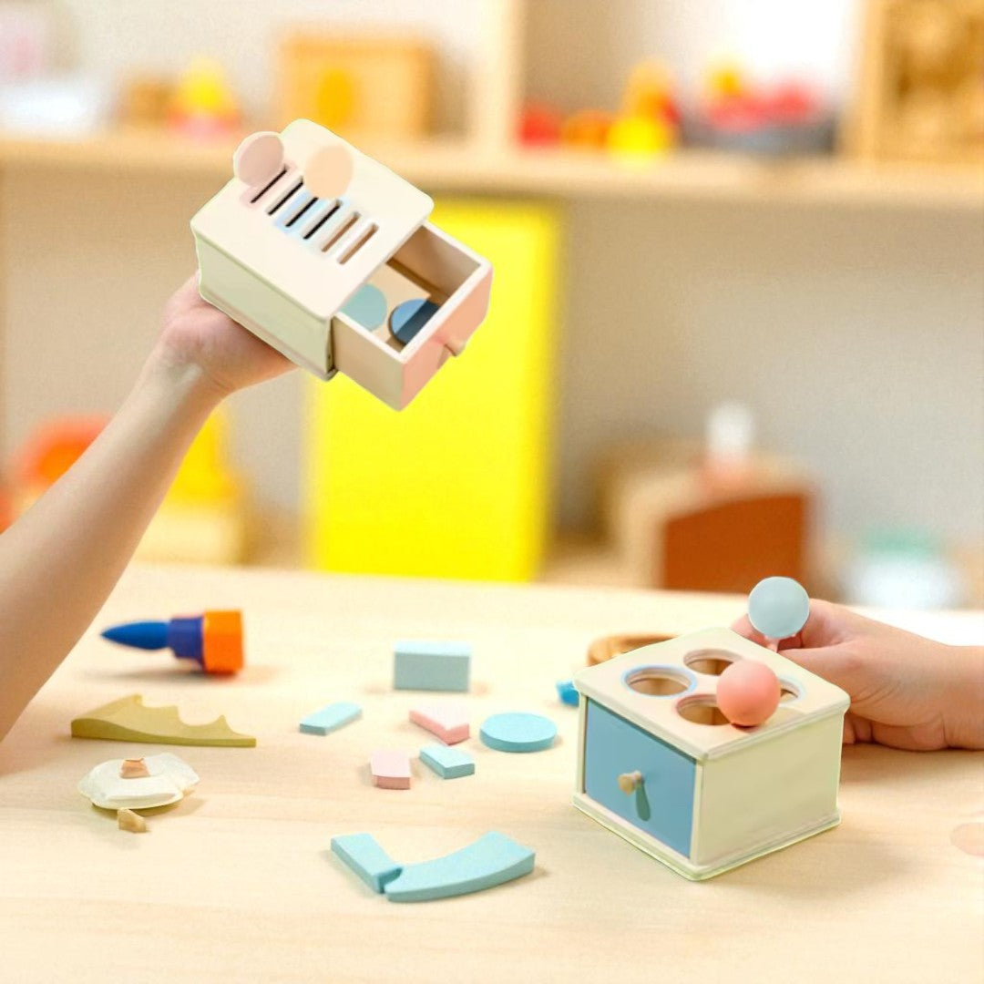 Montessori Fine Motor Skills Wooden Toy Series